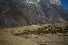 DSCN0235