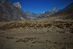 DSCN0236