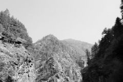 DSCN0359