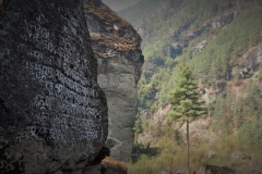 DSCN0365