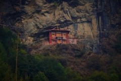 DSCN0367