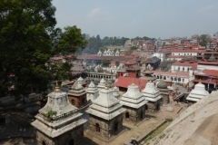 DSCN0382