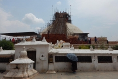 DSCN0391