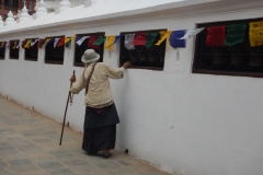 DSCN0403