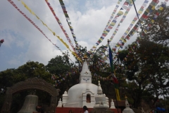 DSCN0405