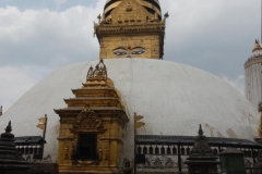 DSCN0407