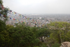 DSCN0410