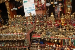 DSCN0417