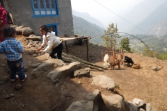 Nepal 3 019 1