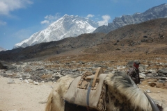Nepal 3 239 1