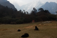 Nepal 3 309 1