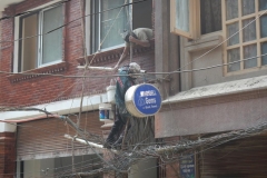 DSCN1208