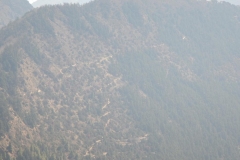 DSCN1342