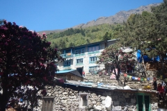 DSCN1344