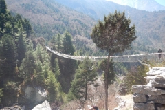 DSCN1346