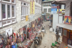 Namche street