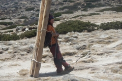 Sherpa great loads