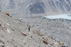 Track to EBC